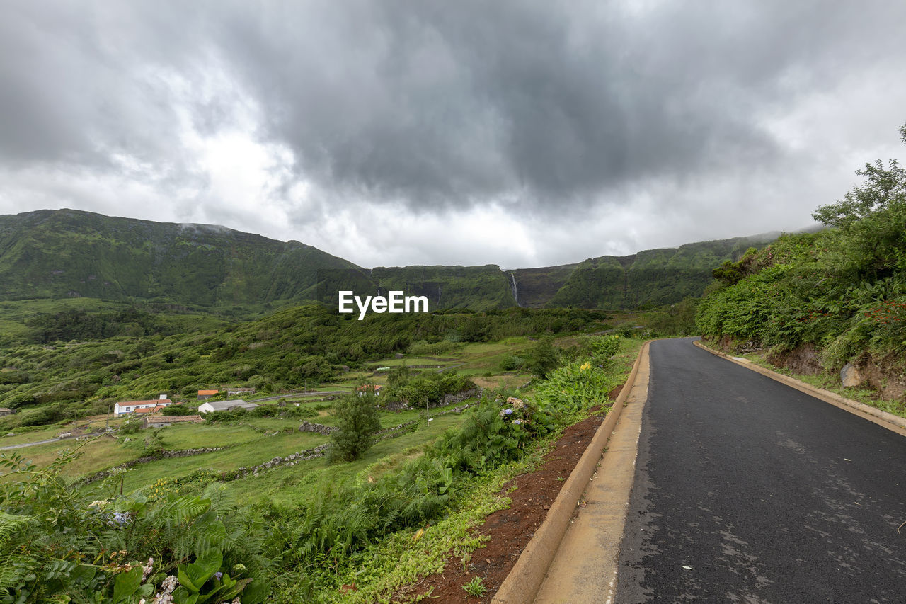 PANORAMIC VIEW OF ROAD AMIDST TREES AGAINST SKY