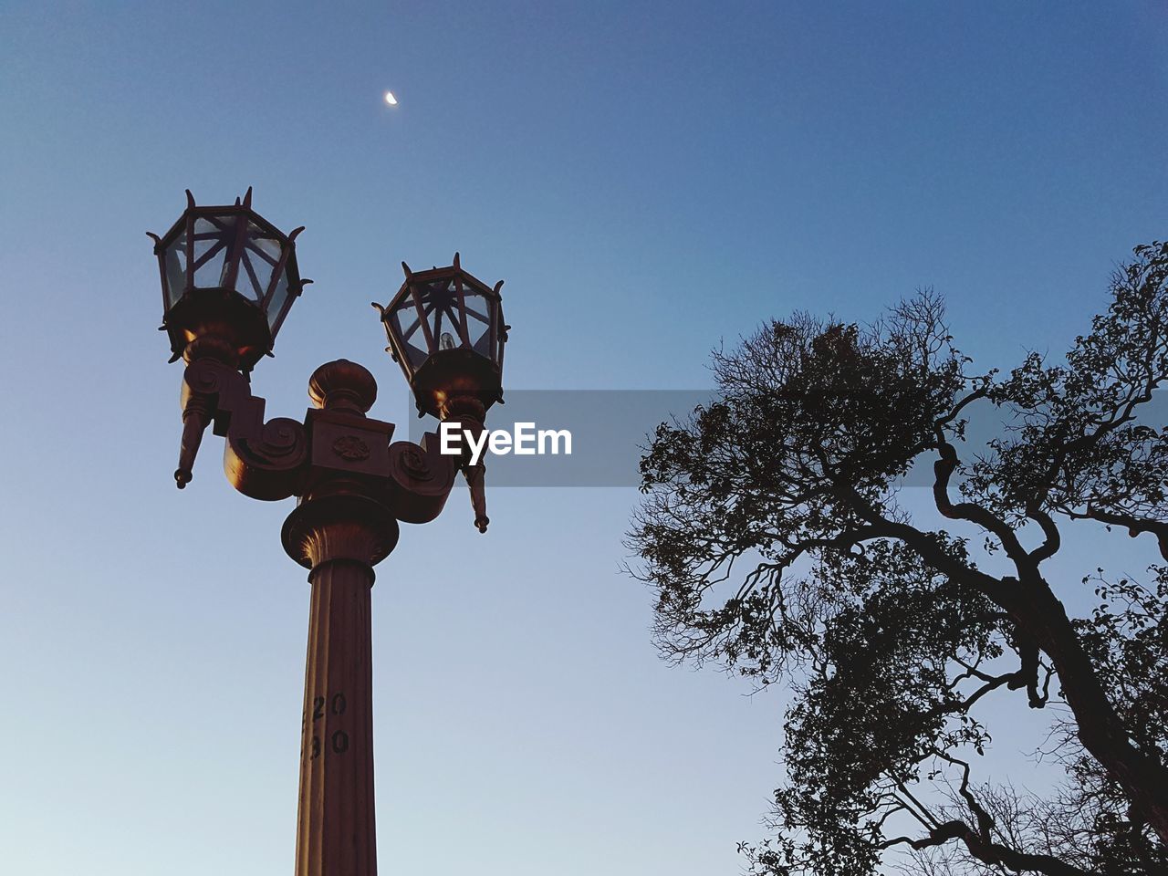 LOW ANGLE VIEW OF STATUE AGAINST ILLUMINATED STREET LIGHT