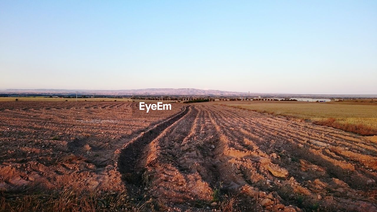 Scenic view of agricultural field against clear sky