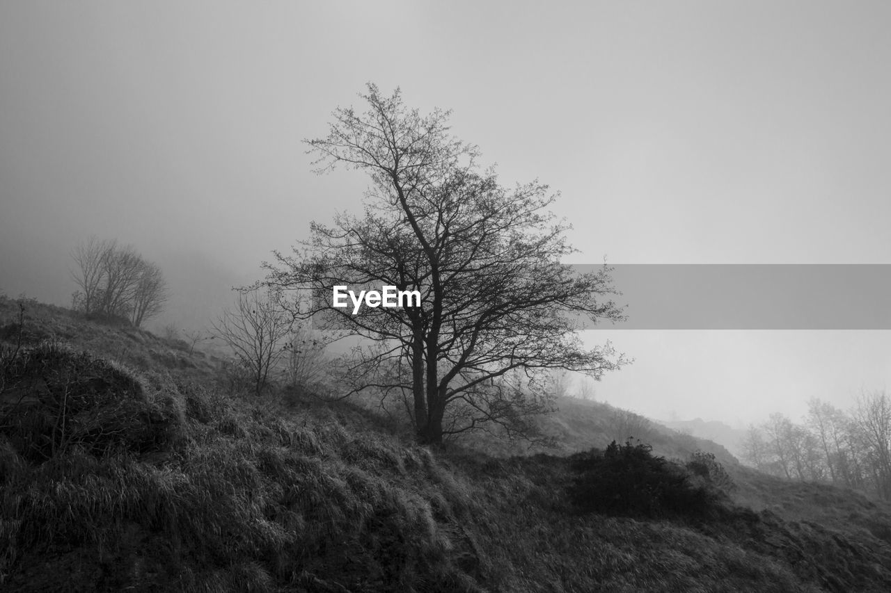 Scenic view of grassy field against cloudy sky