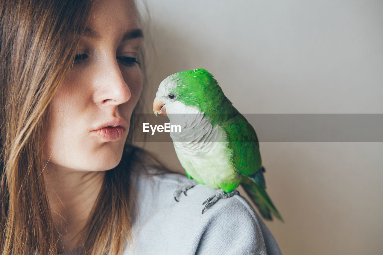 pet, animal, animal themes, parrot, bird, one animal, one person, green, skin, animal wildlife, women, domestic animals, portrait, love, parakeet, close-up, adult, beak, person, kissing, friendship, human face, perching, emotion, cute, headshot, child, positive emotion, female, affectionate, young adult, indoors, blue, childhood, nature, wildlife, human eye, copy space, looking, feather