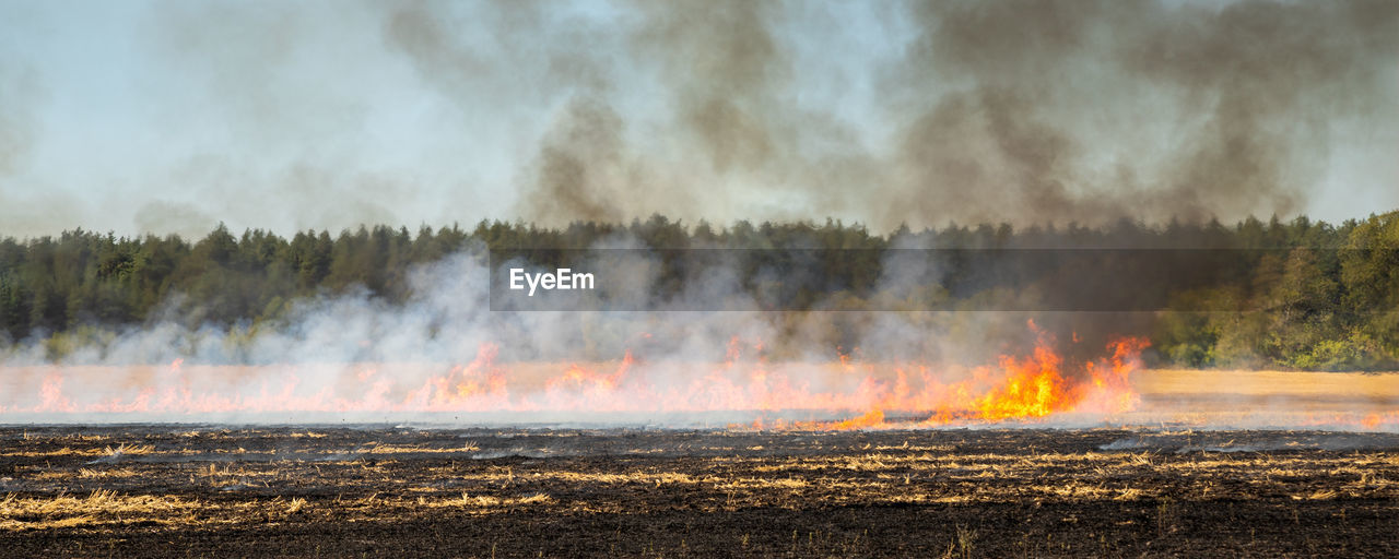 PANORAMIC SHOT OF BONFIRE ON FIELD