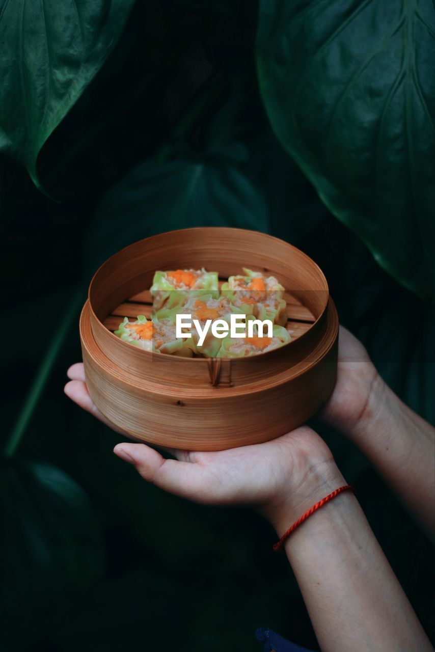 Cropped hand of woman holding food