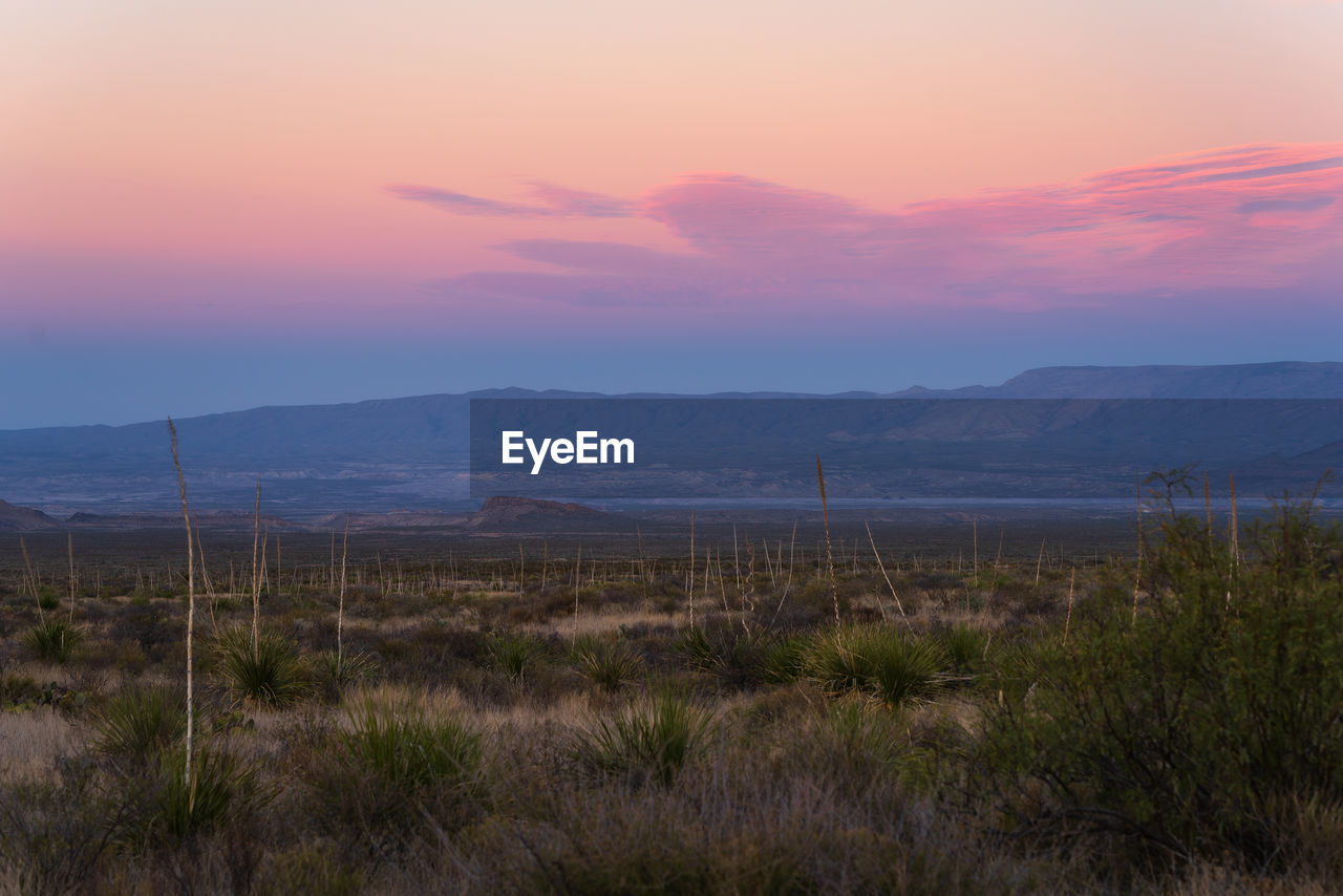 Scenic view of landscape against sky during sunset in big bend national park - texas