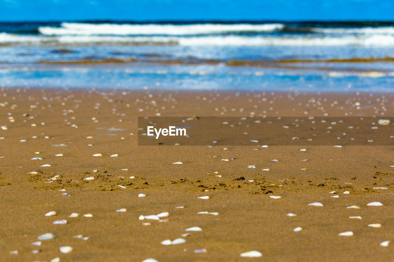 Close-up of sea shore