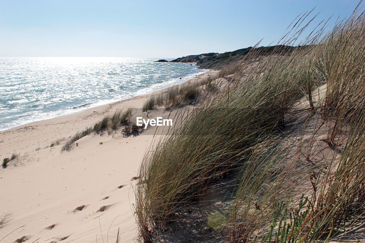 SCENIC VIEW OF SEA SHORE AGAINST CLEAR SKY