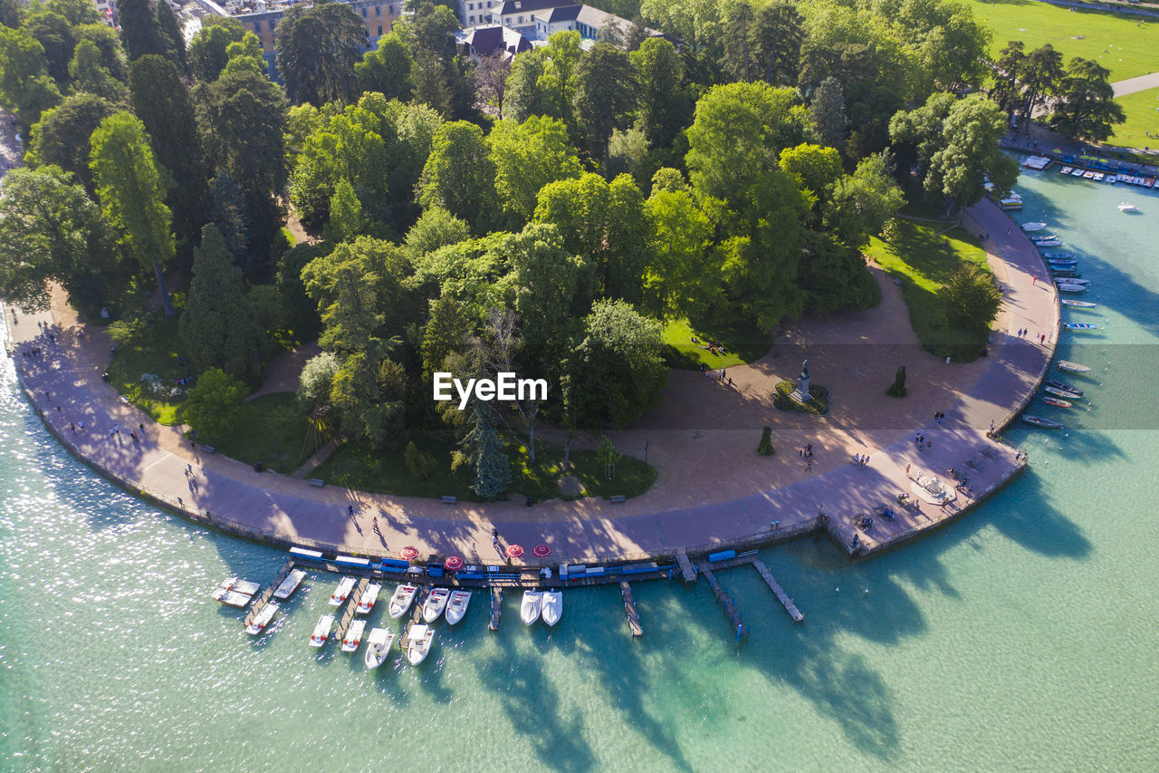 water, tree, plant, high angle view, nature, nautical vessel, transportation, aerial view, day, aerial photography, lake, green, land, mode of transportation, sunlight, outdoors, beauty in nature, scenics - nature, growth, no people, beach