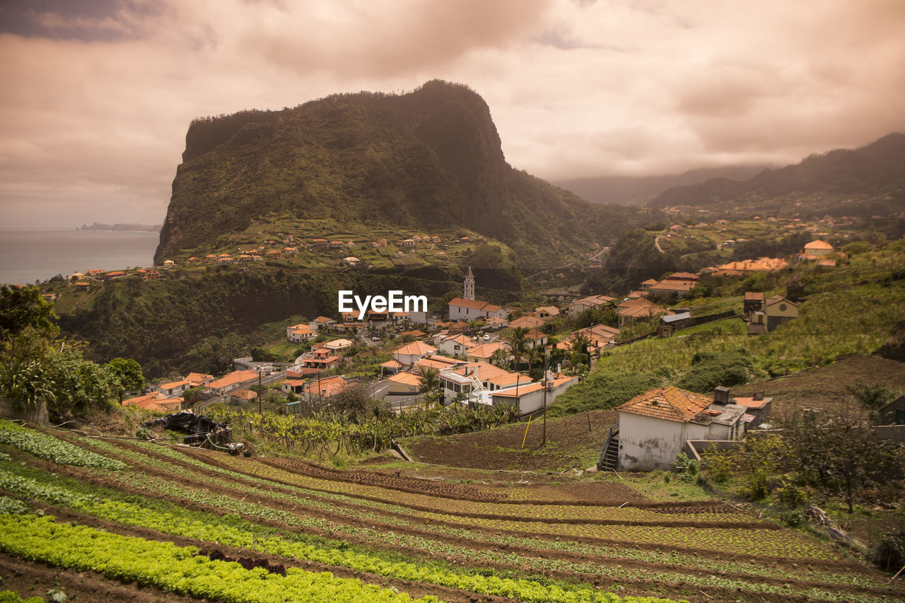 Scenic view of agricultural field by houses against sky