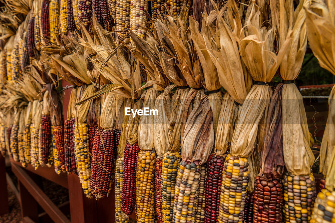 food and drink, hanging, food, large group of objects, no people, abundance, market, retail, business finance and industry, business, for sale, variation, freshness, corn, market stall, healthy eating, arrangement, in a row, outdoors