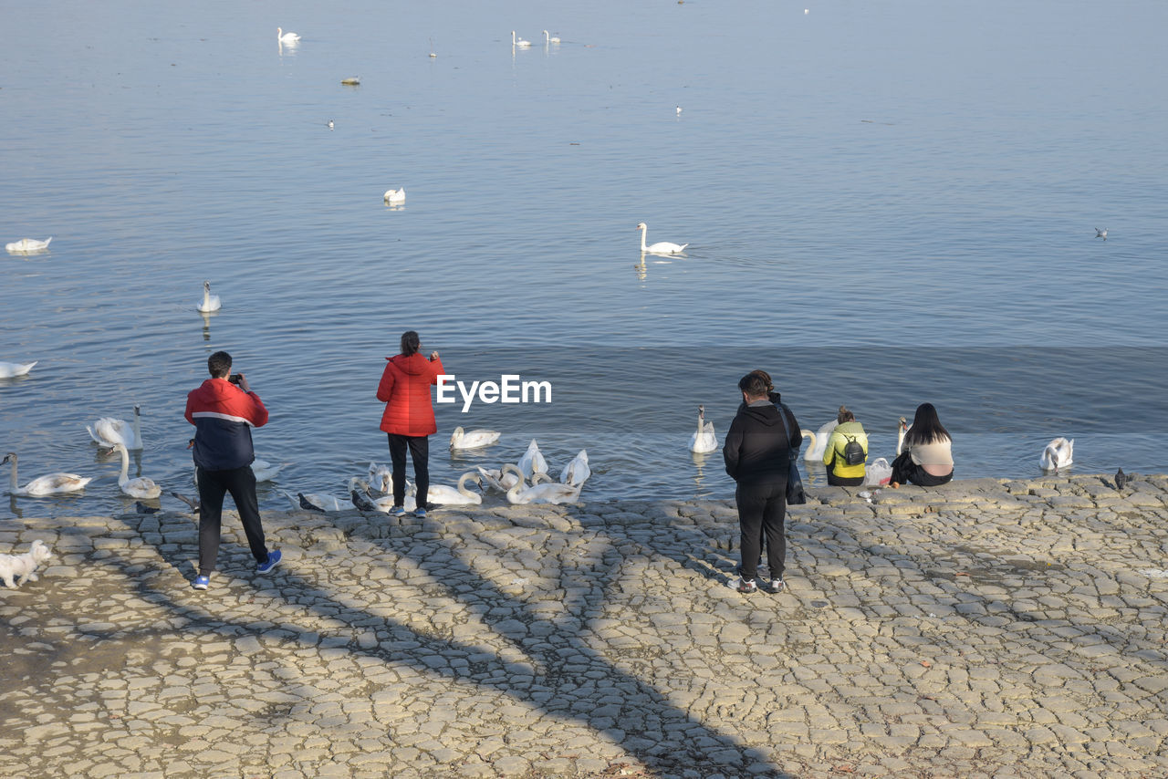 REAR VIEW OF PEOPLE AT BEACH