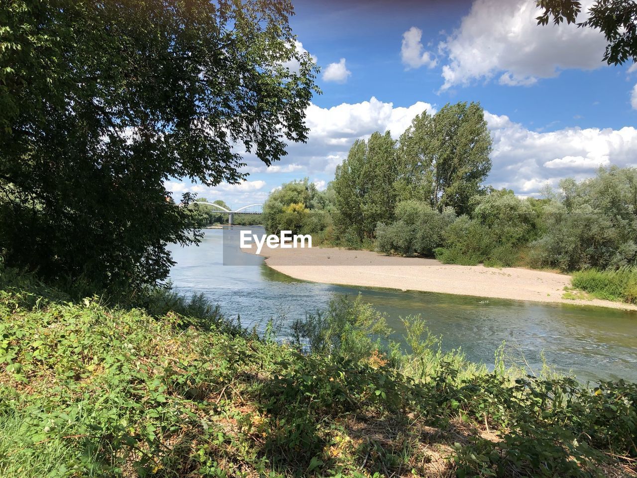 SCENIC VIEW OF LAKE AND TREES AGAINST SKY