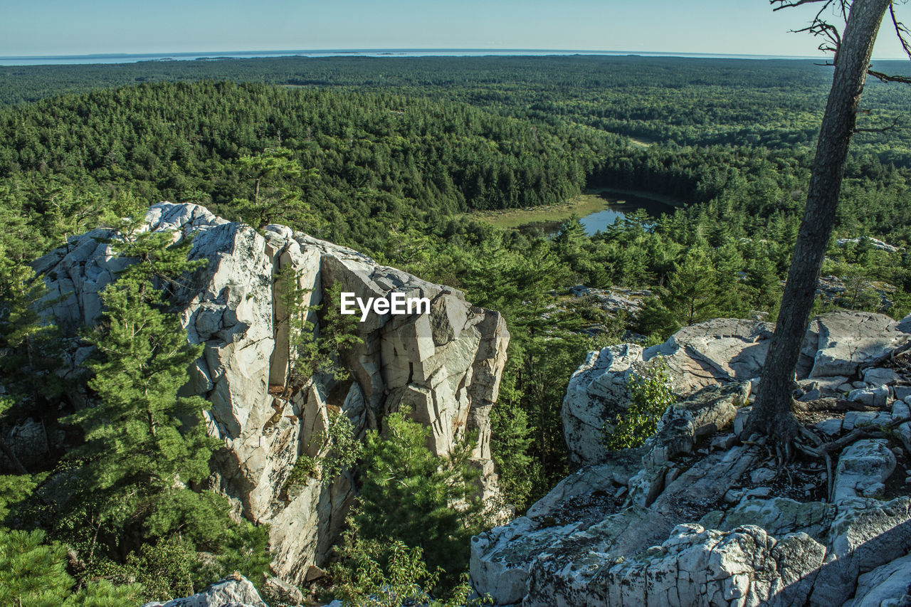 PANORAMIC SHOT OF TREES AND ROCKS
