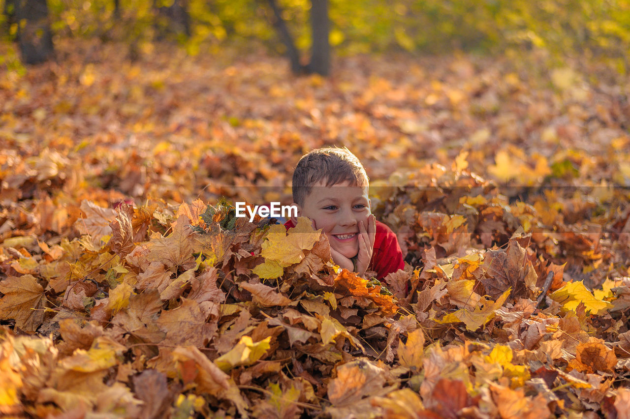 Sly little boy hid in the yellow fallen foliage in the autumn park