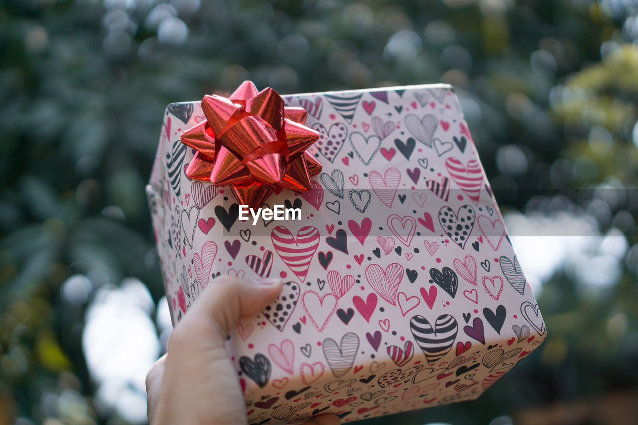 Cropped hand holding gift box against trees