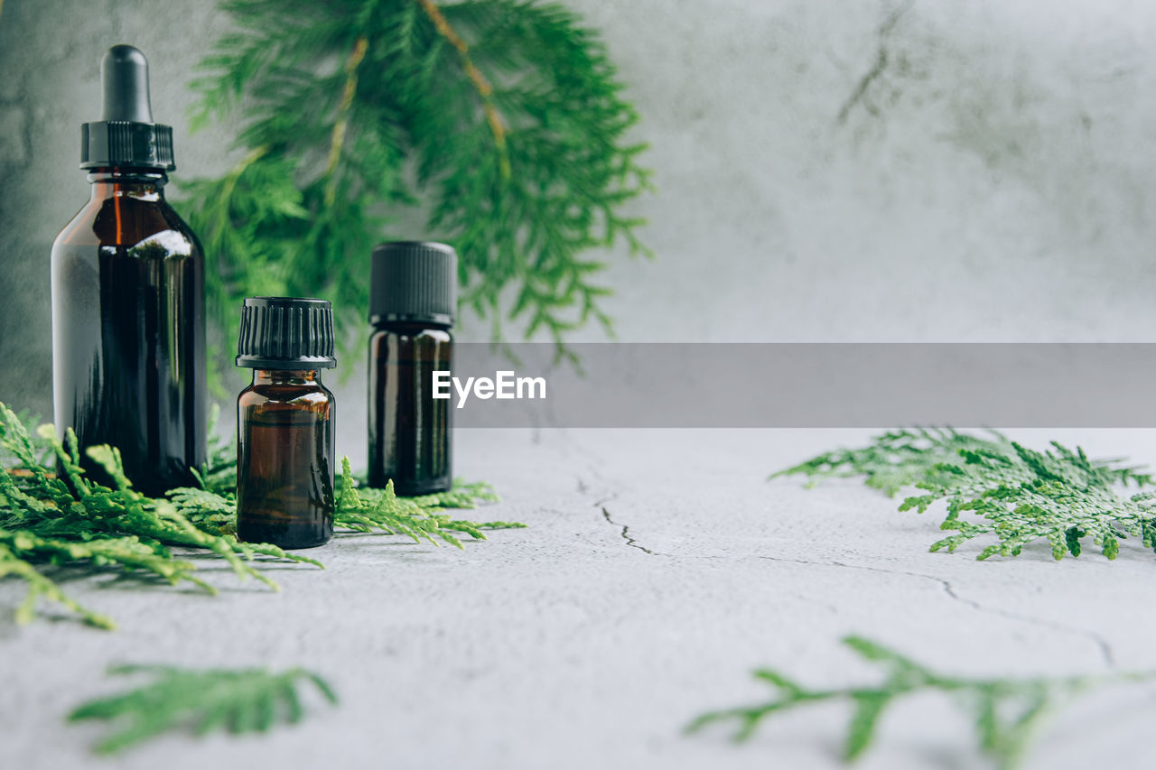 Front view of glass bottles of pine essential oil with fresh fir tree branch over gray background