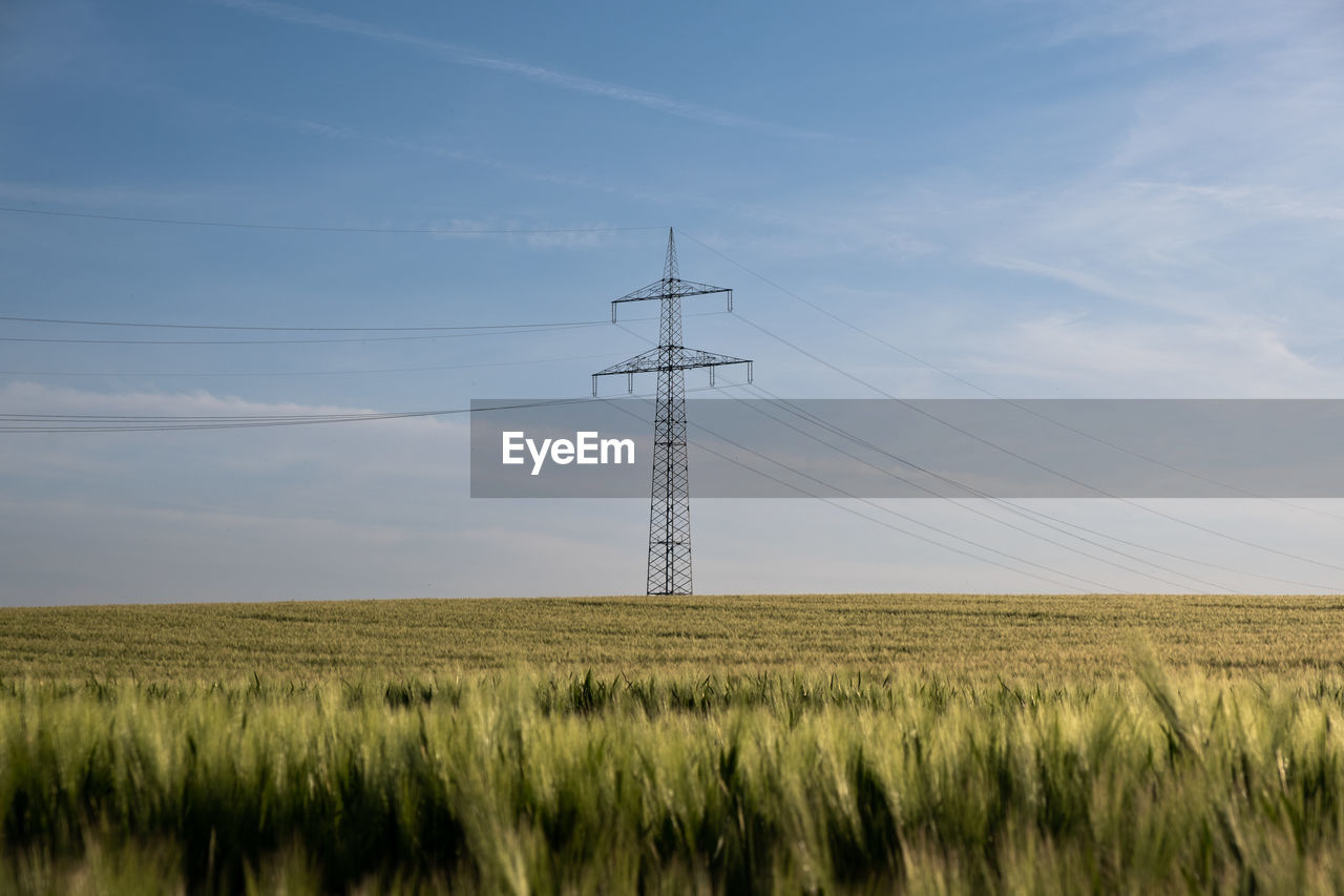 electricity, sky, field, cable, landscape, technology, power generation, land, electricity pylon, power supply, plant, nature, environment, power line, prairie, agriculture, rural scene, growth, cloud, crop, no people, scenics - nature, plain, beauty in nature, grassland, grass, cereal plant, day, tranquility, wind, horizon, tranquil scene, outdoors, wheat, overhead power line, rural area, horizon over land, non-urban scene, farm, steppe