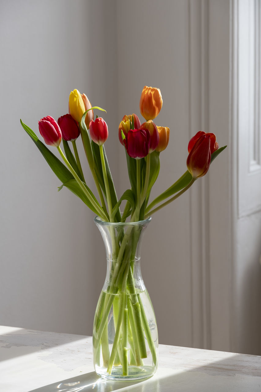 Close-up of tulips in vase on table