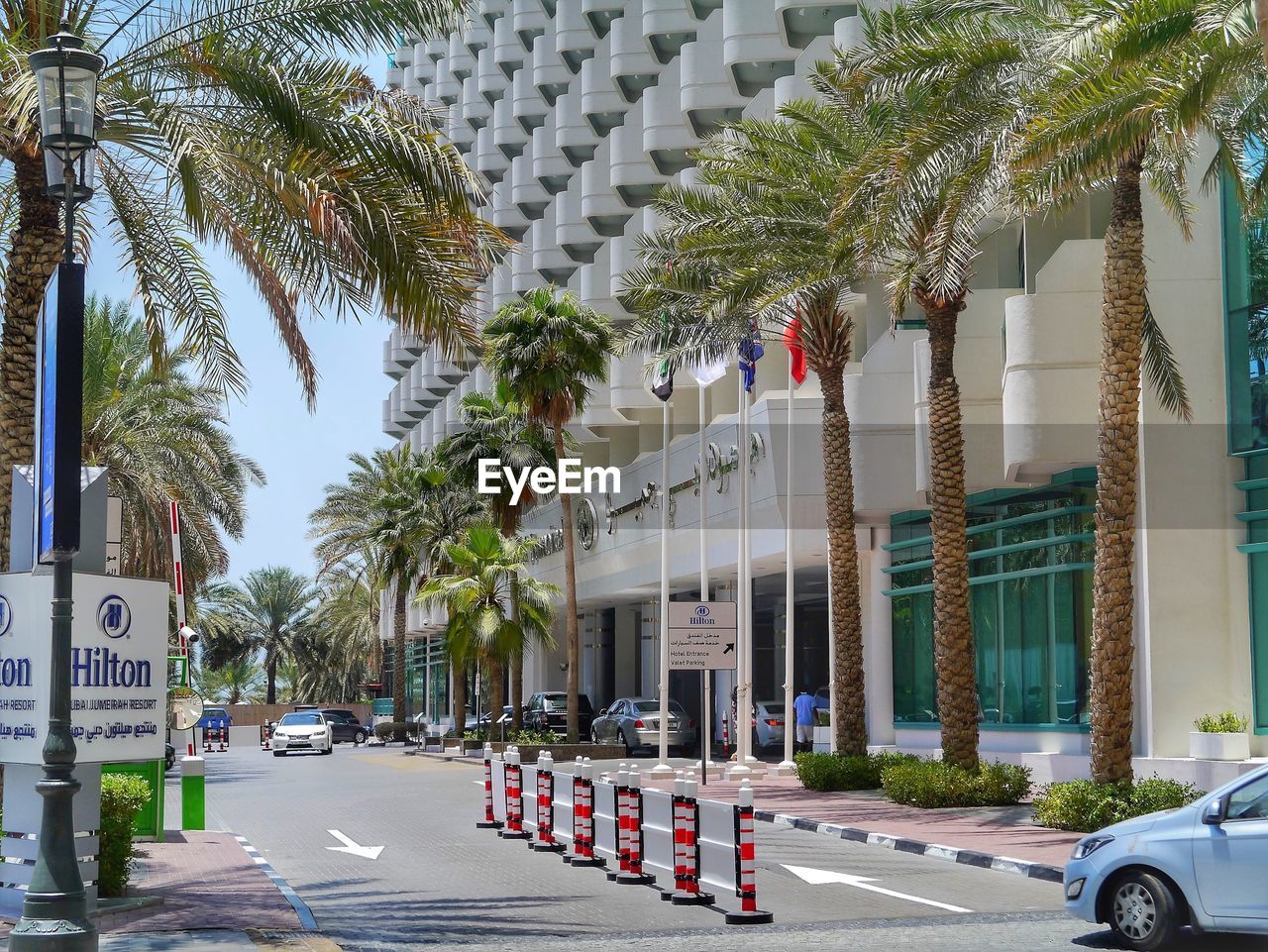 CITY STREET BY PALM TREES AND BUILDINGS