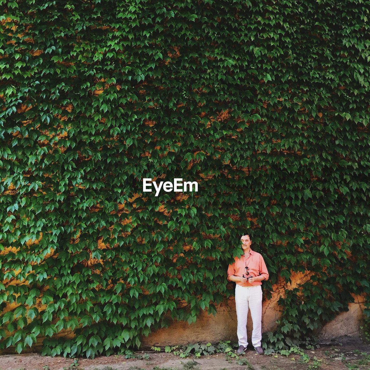 Man standing against ivy covered wall