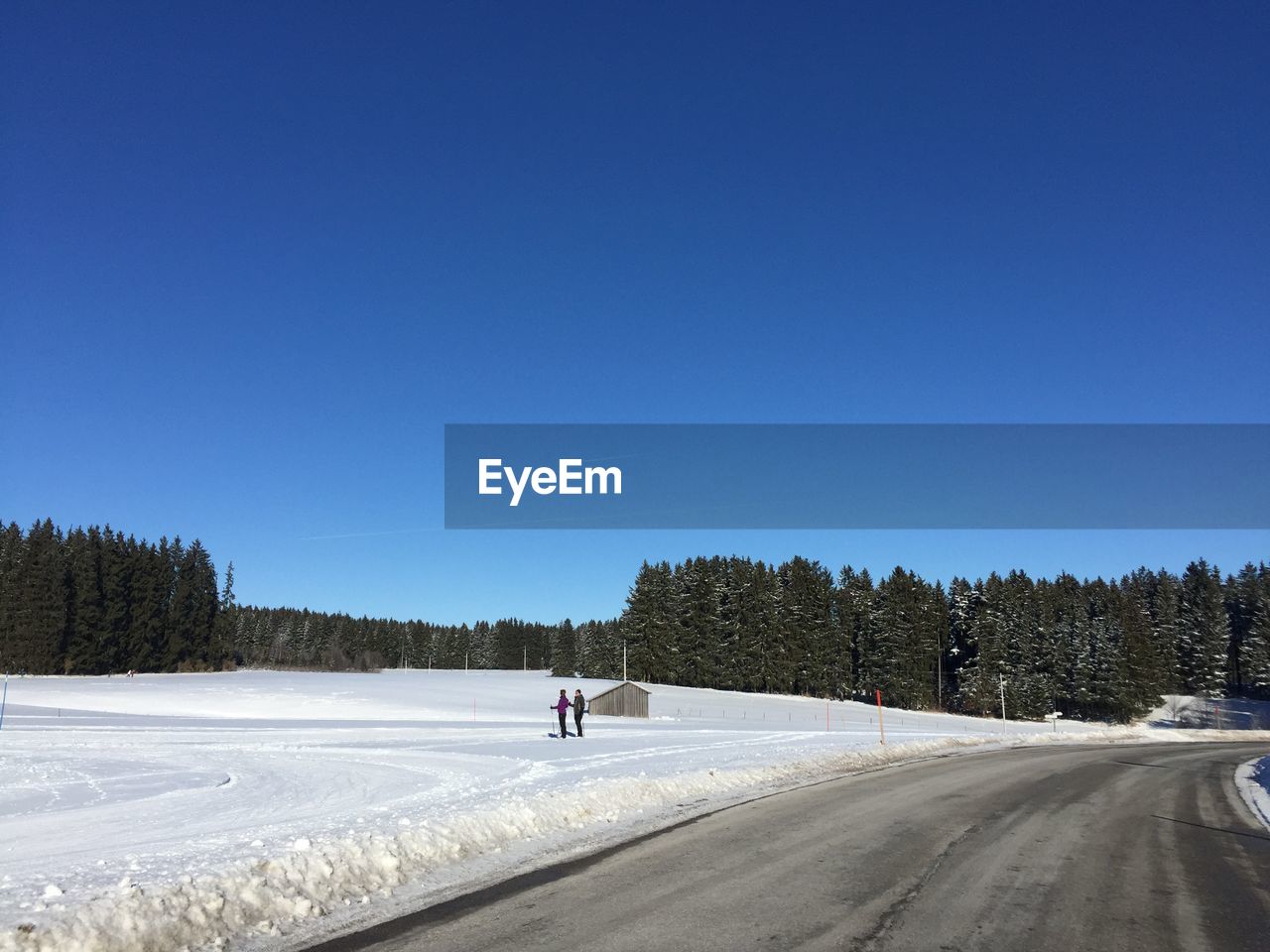 ROAD AMIDST TREES AGAINST CLEAR BLUE SKY