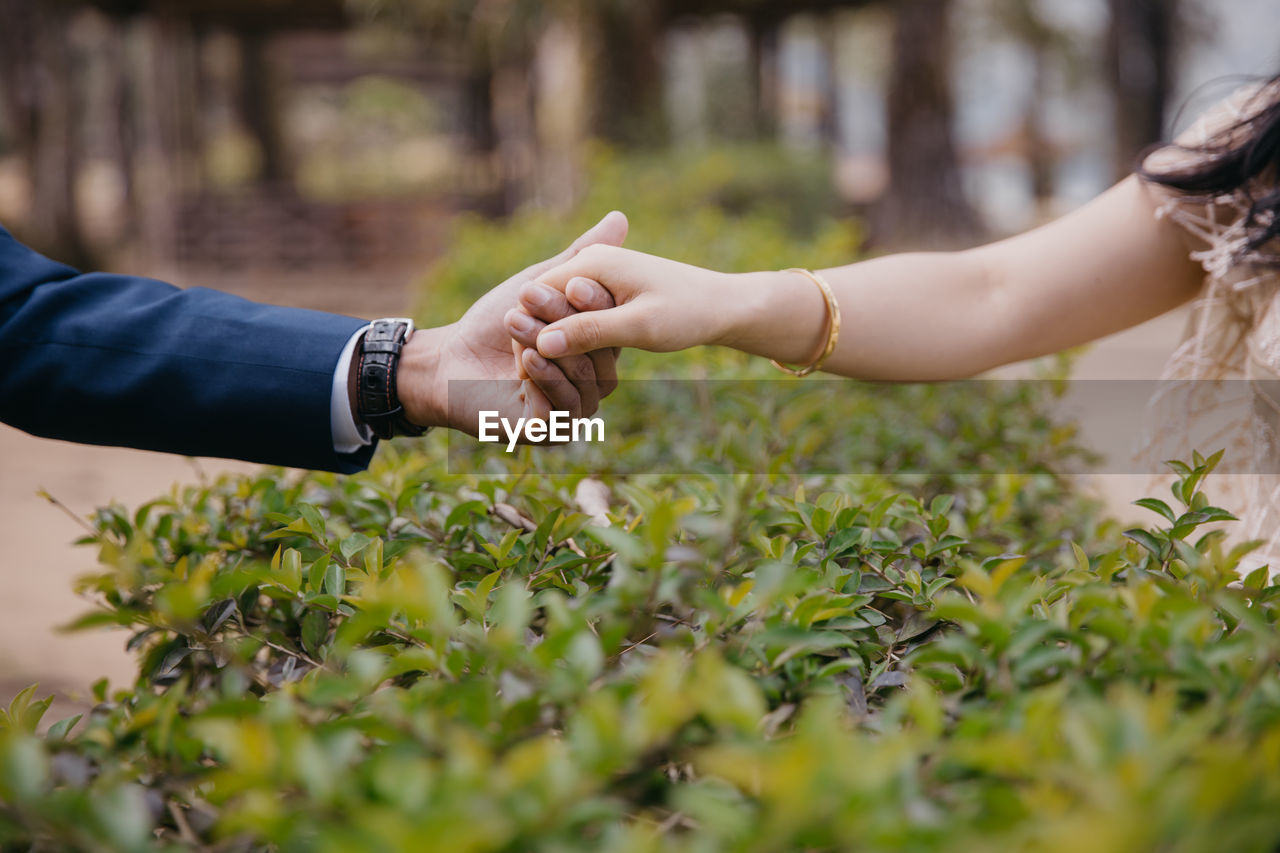 Cropped image of couple holding hands by plants