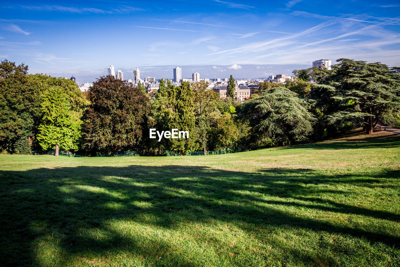 SCENIC VIEW OF TREES AGAINST SKY