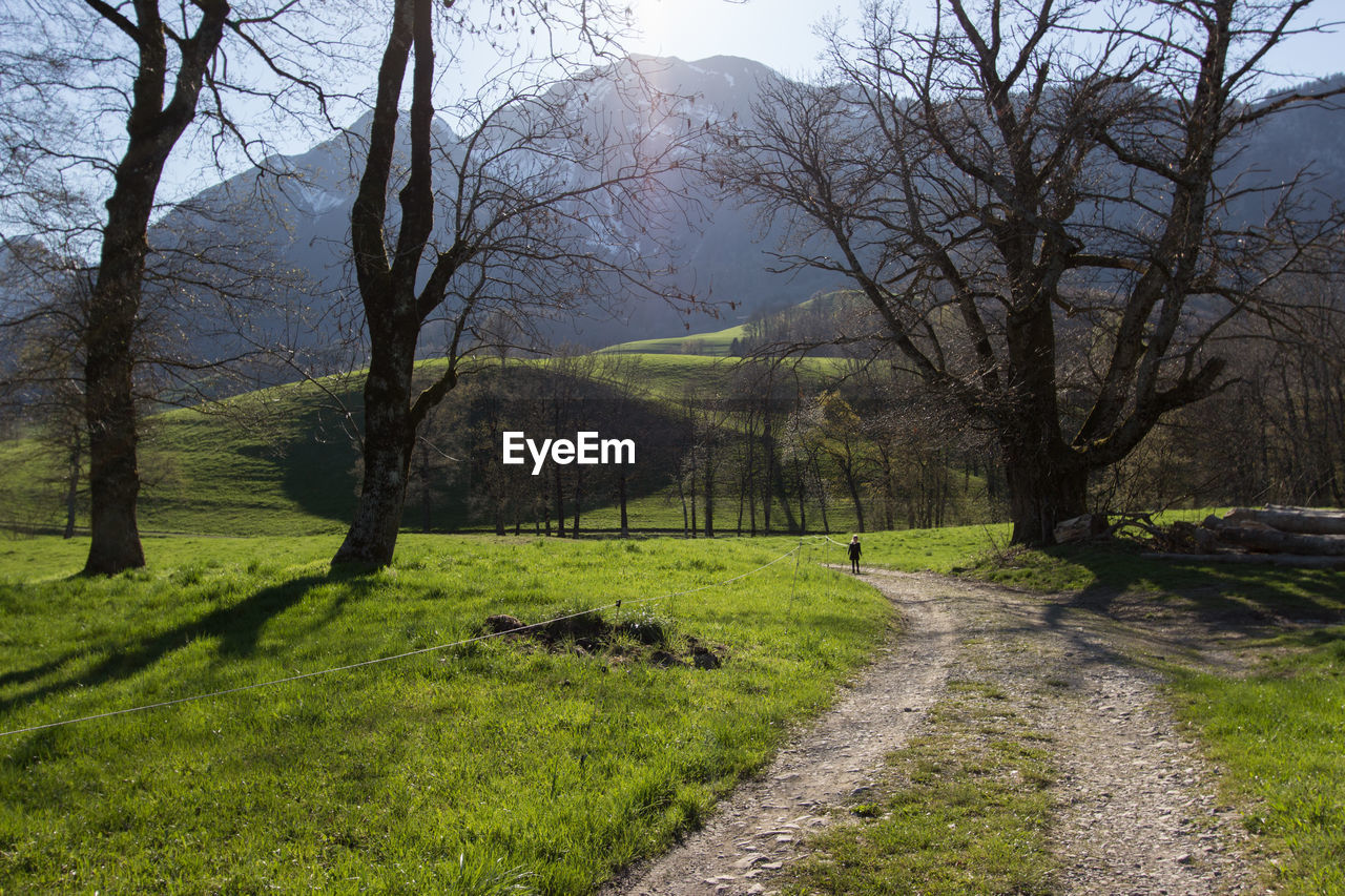 Scenic view of landscape against mountain