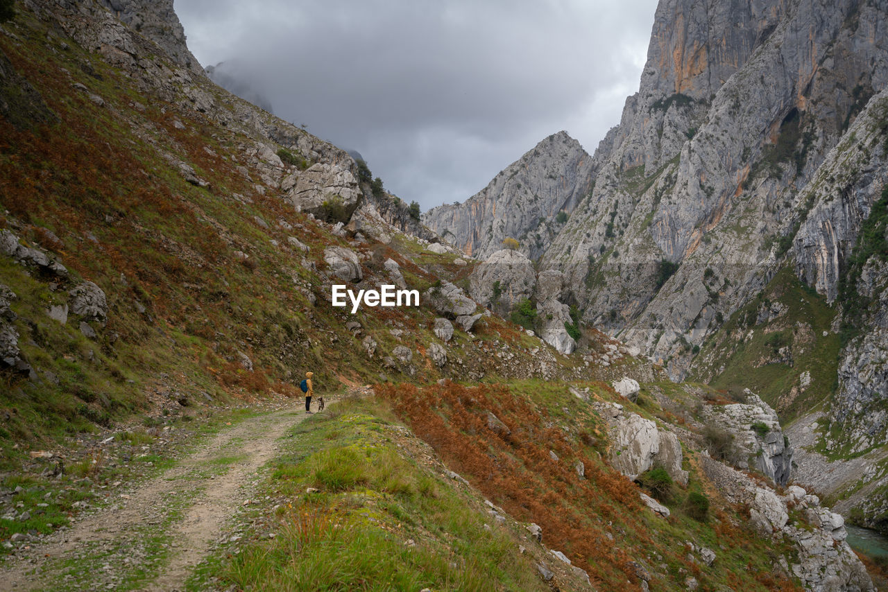 Woman with a dog walking on ruta del cares trail in picos de europa national park, spain