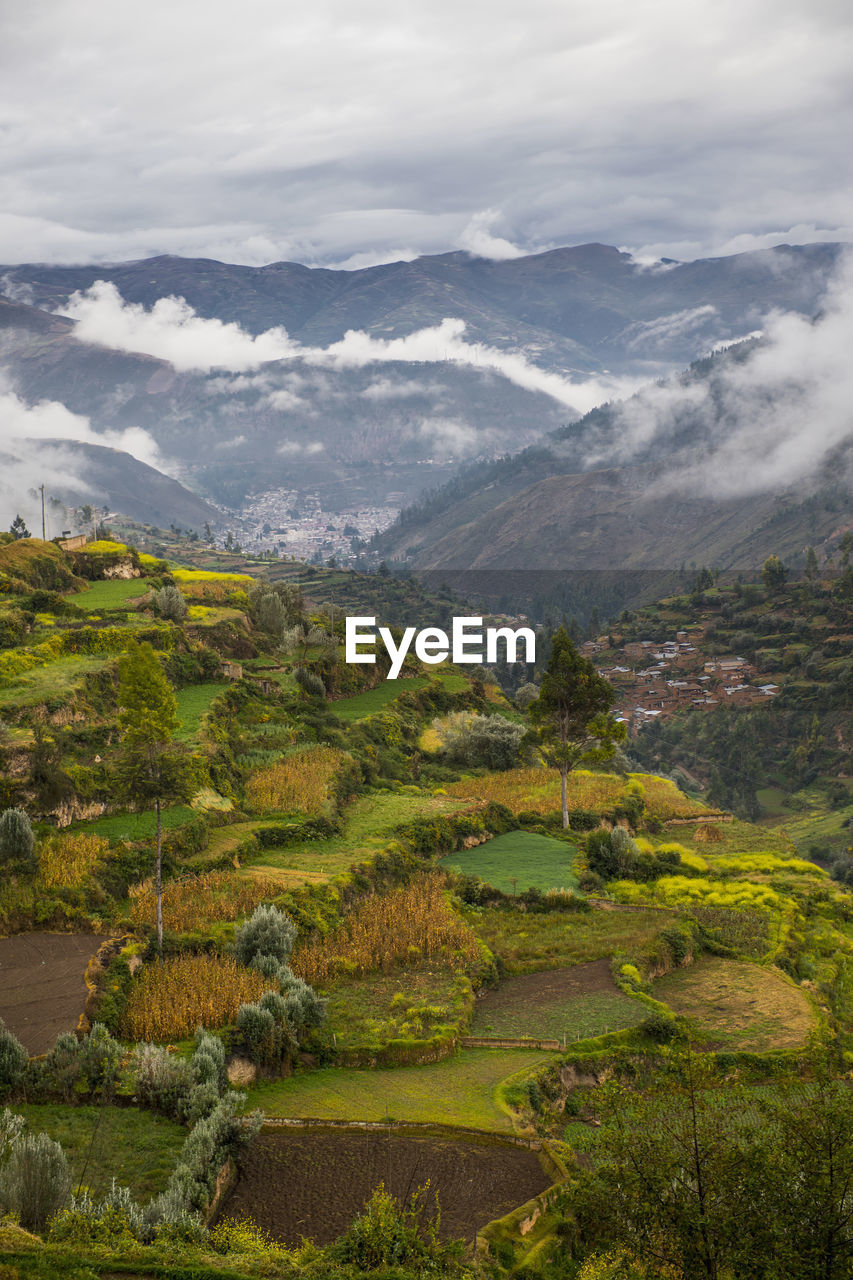 Agricultural terraces above tarma, junin, peru, south america