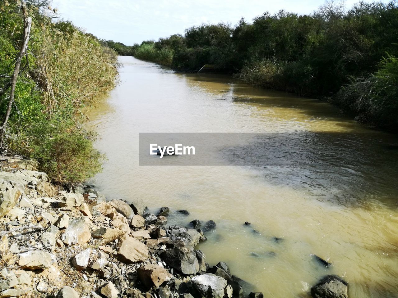 SCENIC VIEW OF RIVER BY TREES AGAINST SKY