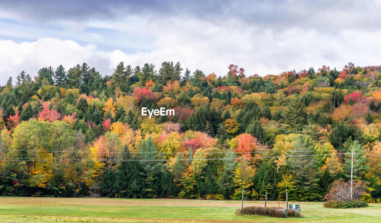 Trees on field against sky during autumn