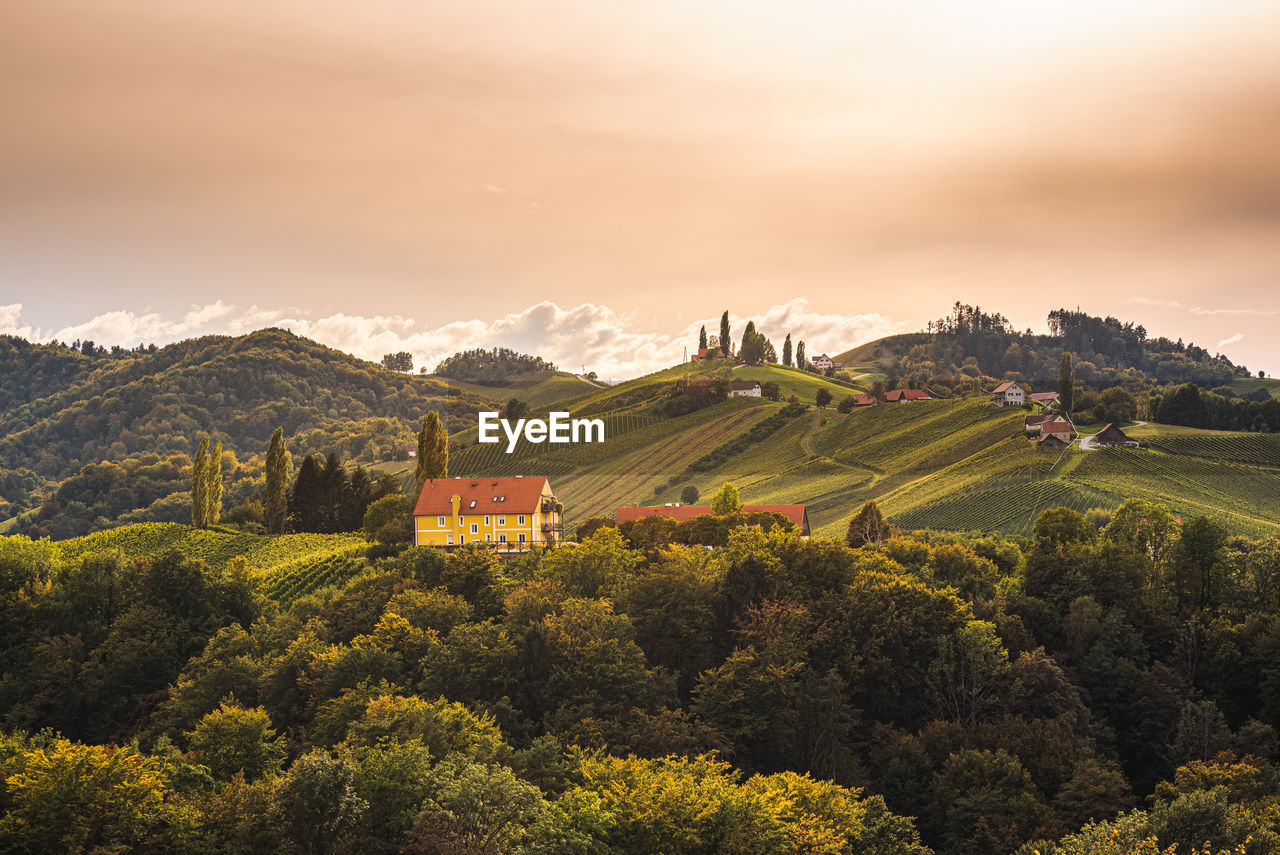 Styrian tuscany vineyard in autumn near eckberg, gamliz, styria, austria.