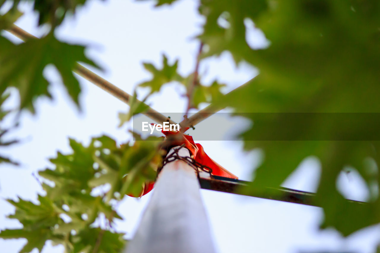 Low angle view of plants by wind turbine