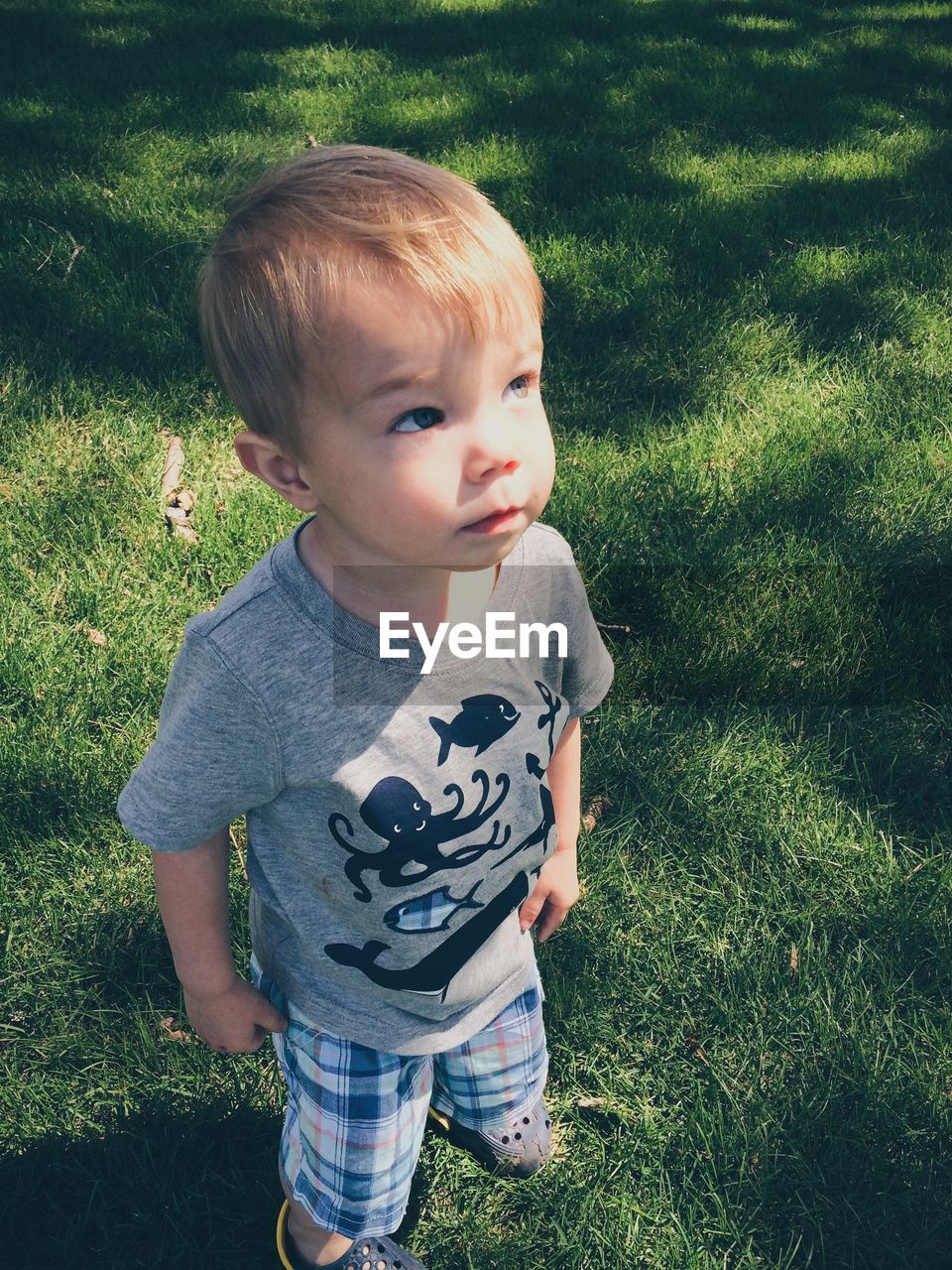 Boy standing in grassy field looking up