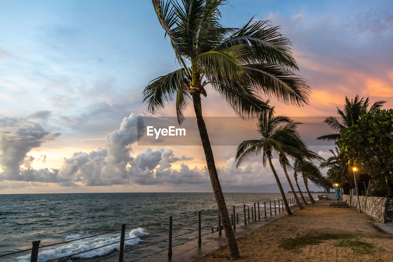 PALM TREES AT BEACH DURING SUNSET