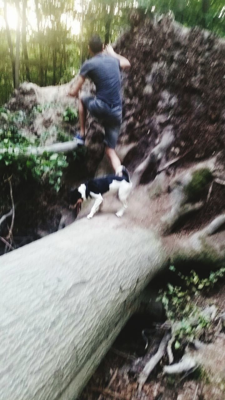 Rear view of man in forest