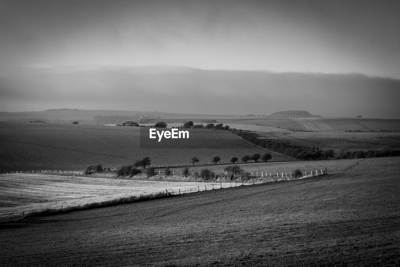 Scenic view of  field against sky