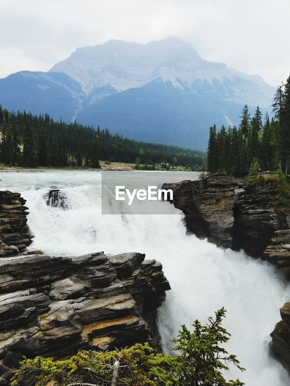 SCENIC VIEW OF WATERFALL AT FOREST