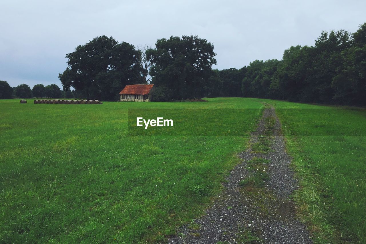 Footpath amidst grassy field against sky