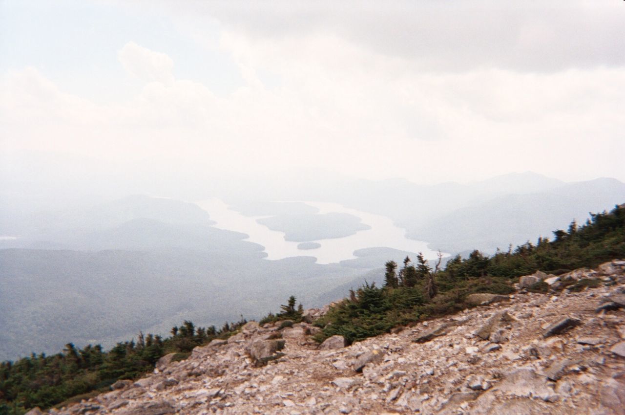 SCENIC VIEW OF FOREST AND MOUNTAINS AGAINST SKY