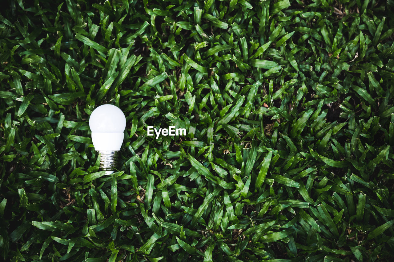 HIGH ANGLE VIEW OF LIGHT BULB IN PARK