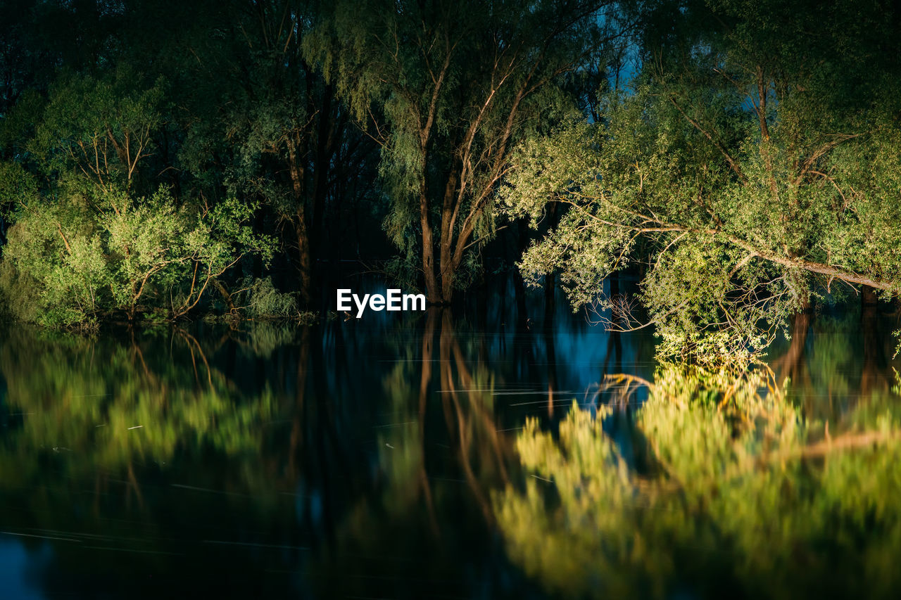 scenic view of lake against trees