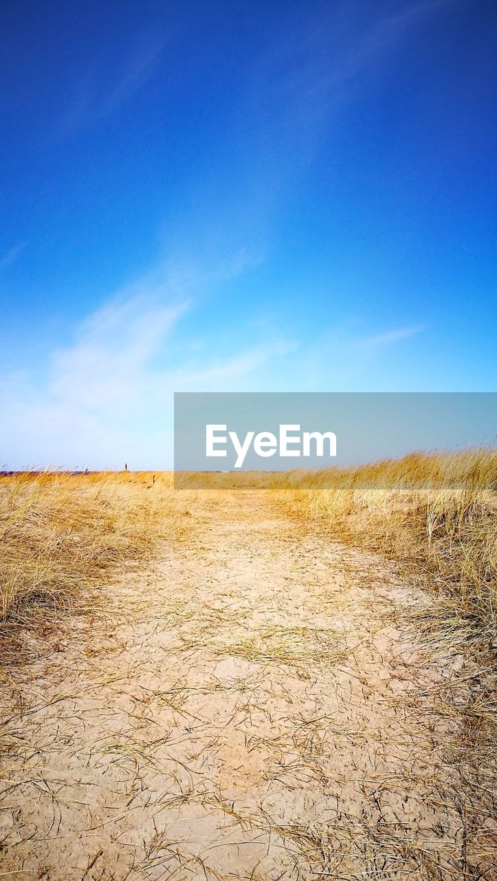 Scenic view of field against blue sky