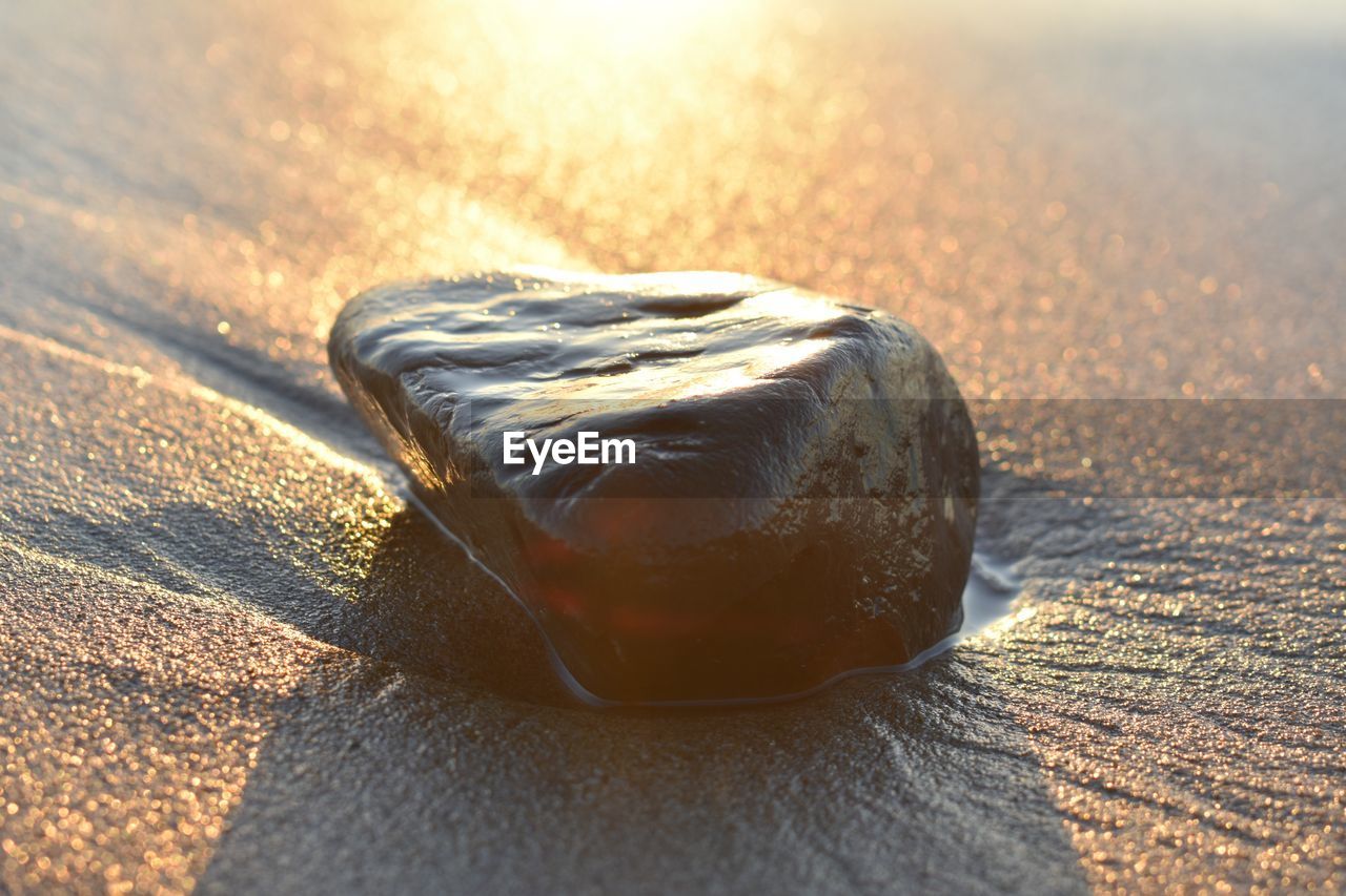 close-up, sunlight, macro photography, nature, sand, morning, no people, land, beach, water, day, outdoors, single object, rock, wood, shadow, sea, food and drink, focus on foreground, food