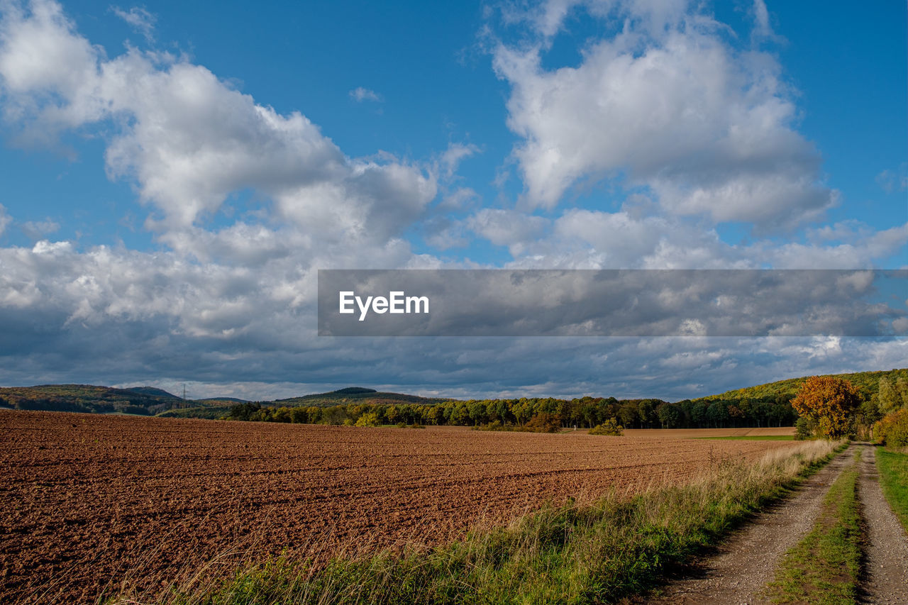 Scenic view of agricultural field against sky