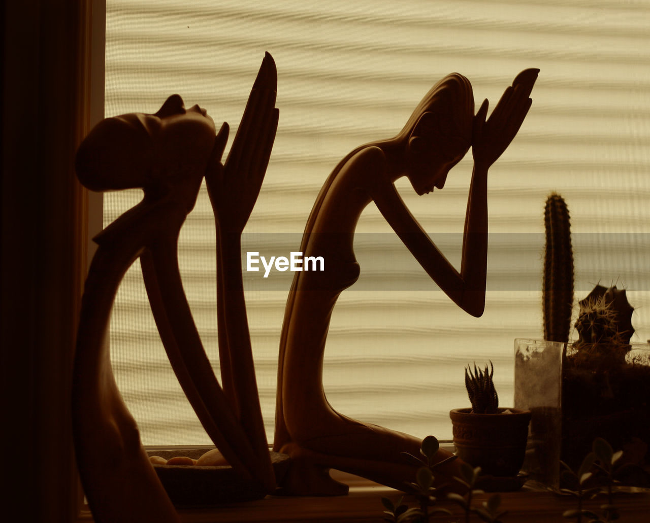 CLOSE-UP OF POTTED PLANT ON TABLE BY WINDOW