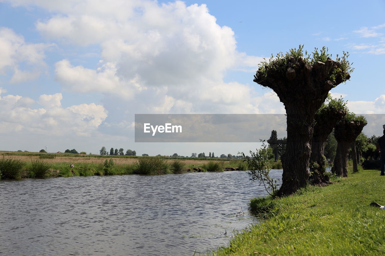 TREES BY LAKE AGAINST SKY