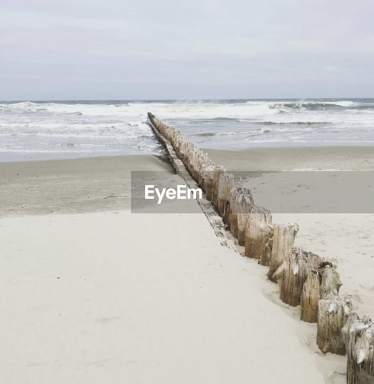 WOODEN POSTS ON BEACH