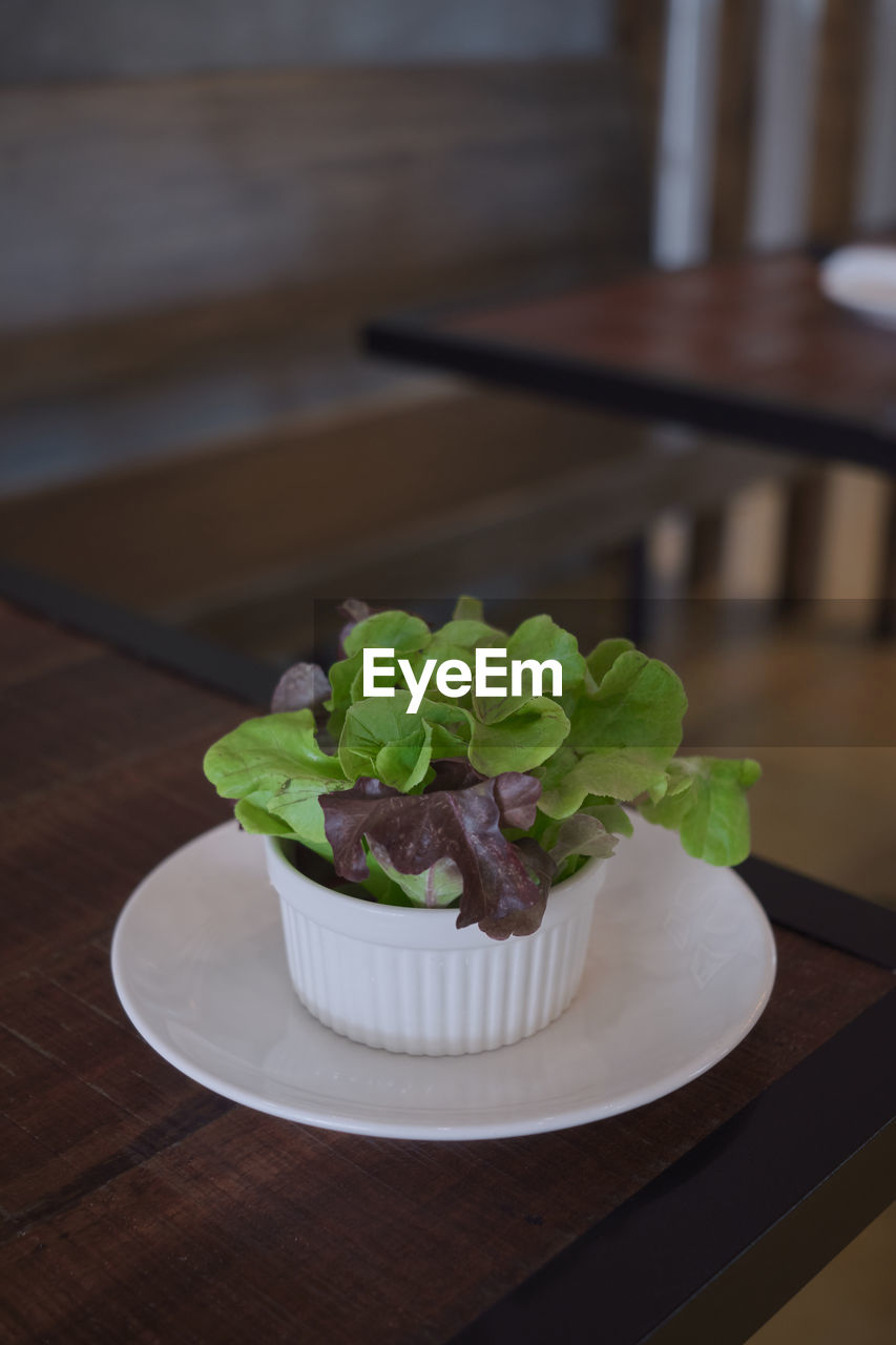 HIGH ANGLE VIEW OF DESSERT ON TABLE