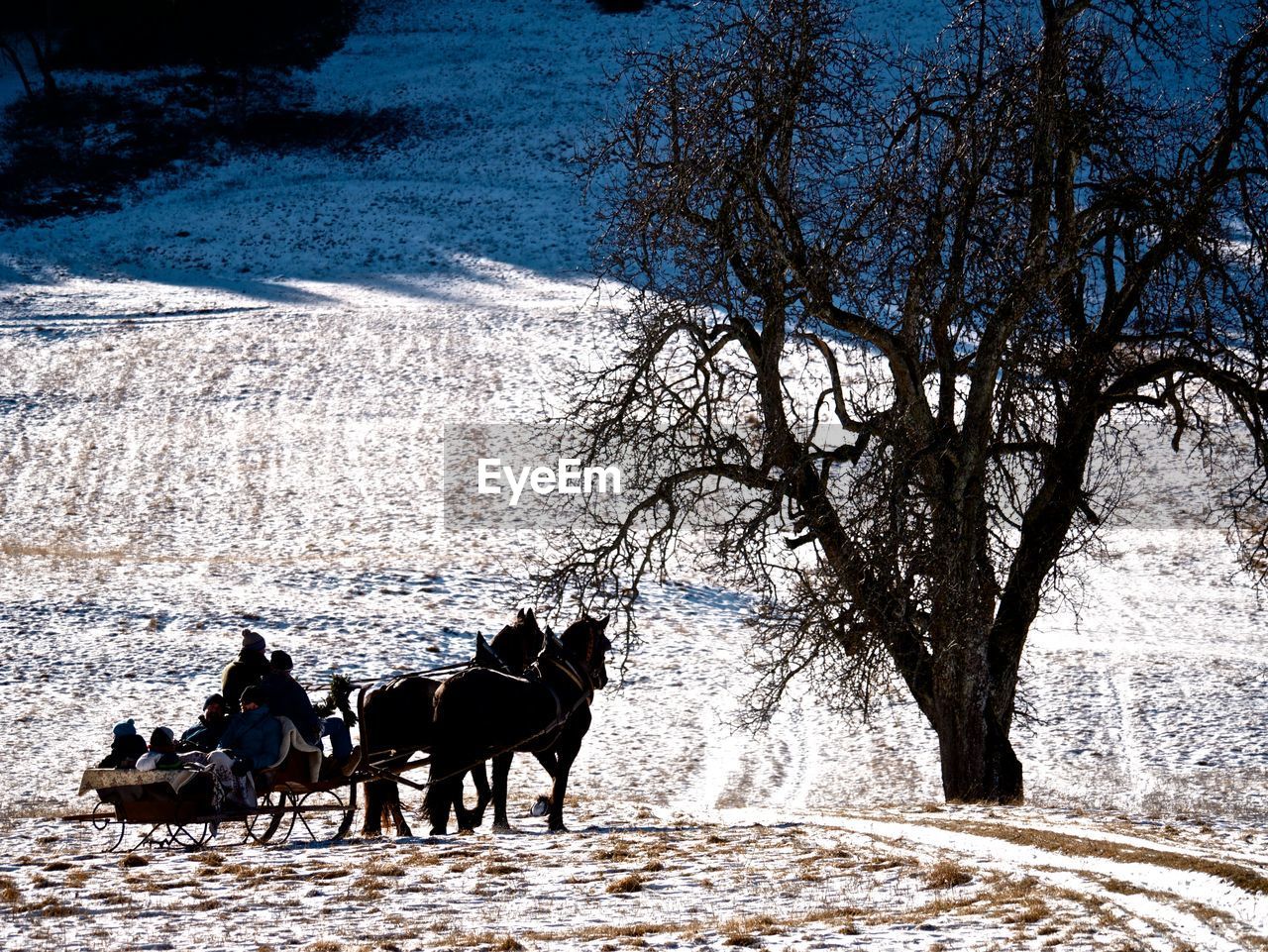 GROUP OF PEOPLE RIDING HORSES